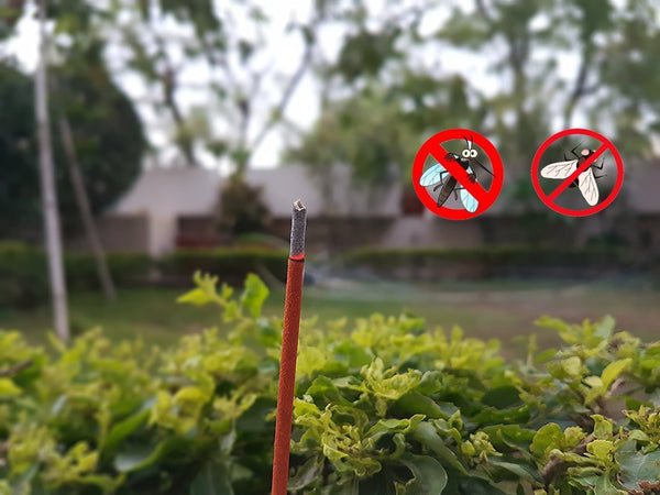Citronella Mosquito Repellent Incense Sticks – 360 Sticks